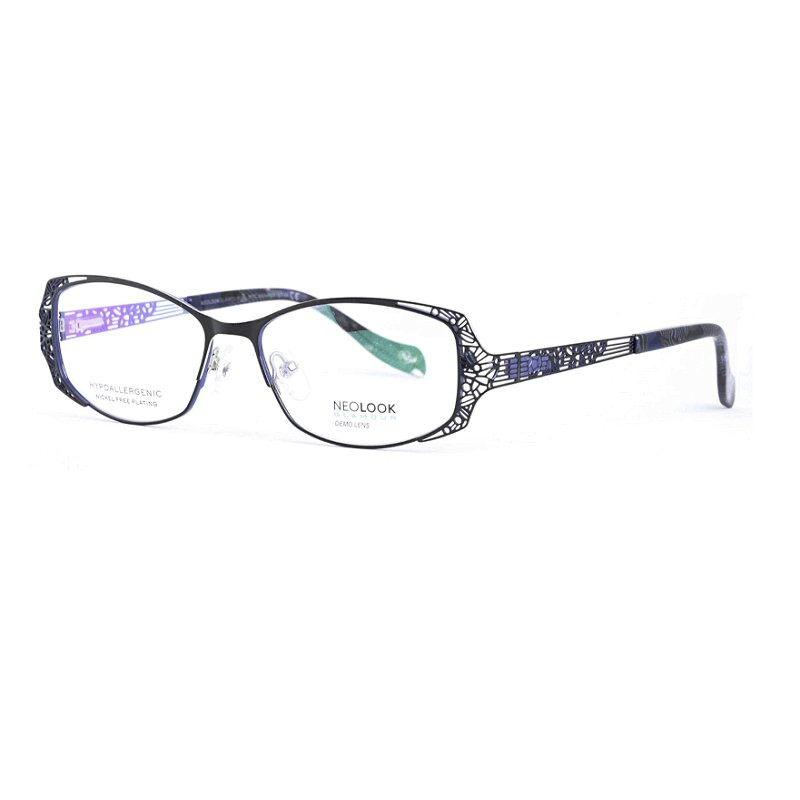 Neolook Glamour Оправа с футляром N-8085 C005