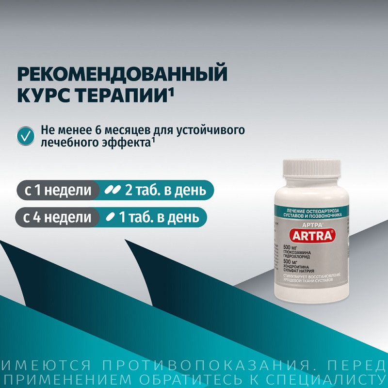 Артра 500 мг+500 мг таблетки 120 шт