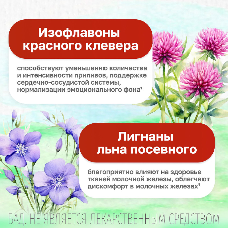 Мабелль таблетки 60 шт