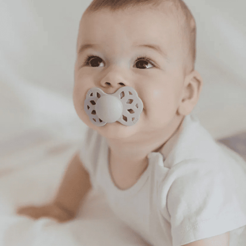 Bibs Infinity Пустышка анатомическая силиконовая с 6 месяцев Blossom-Dusky Lilac 2 шт