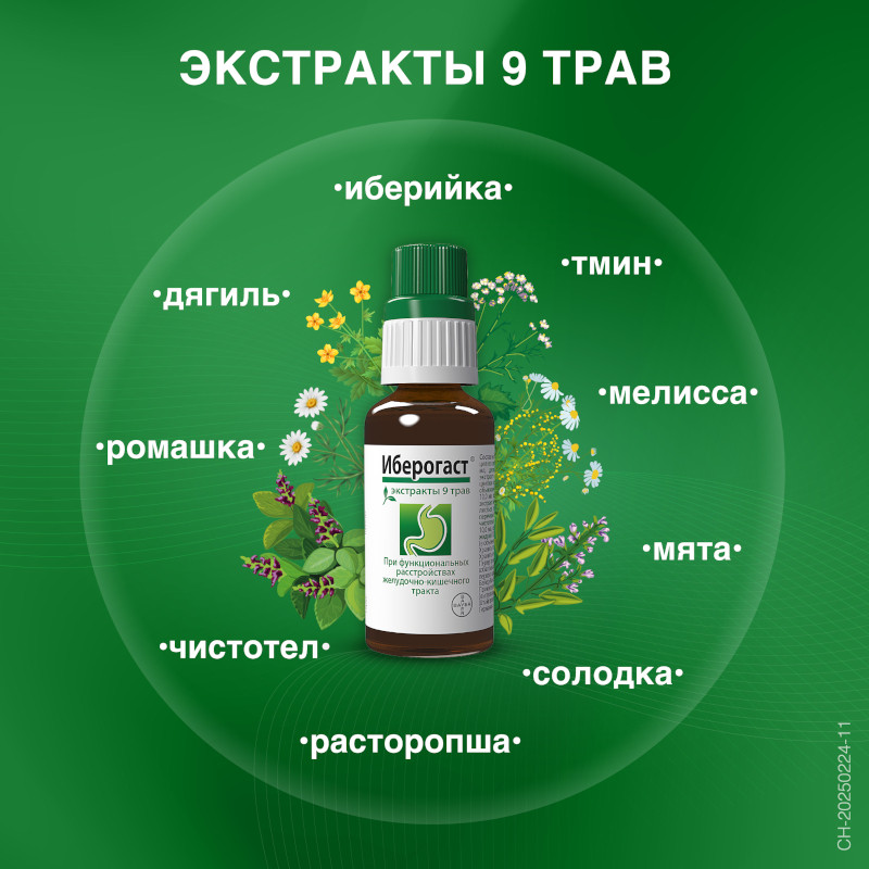 Иберогаст капли для приема внутрь 100 мл