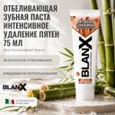 BlanX Intensive Stain Removal Зубная паста интенсивное удаление пятен 75 мл