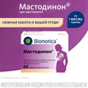 Мастодинон таблетки гомеопатические 60 шт