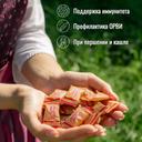Альпийская карамель леденцы Имбирь-Лимон 75 г